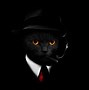 Image result for Cool Cat PFP 1080X1080
