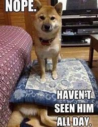 Image result for Dog Joke Meme