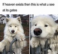 Image result for Positive Wholesome Memes