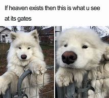 Image result for Wholesome Among Us Memes