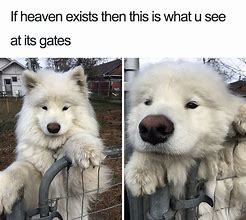 Image result for Wholesome Memes for U