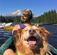 Image result for Happy Retirement Dog