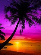 Image result for Palm Trees Sunset Beach Silhouette