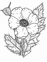 Image result for Poppy Lest We Forget Kleurplaat