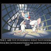 Image result for Pinky and the Brain Are You Pondering Quotes