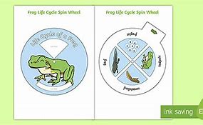 Image result for Frog Life Cycle Wheel Printable