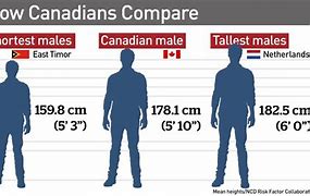 Image result for 6 FT 2 Inches vs 6 Foot