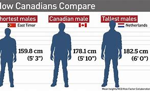 Image result for 5 Foot 11 Inches