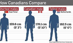 Image result for How Tall Is 6 Foot 8 Inches