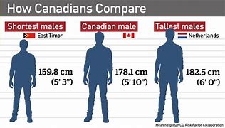 Image result for 5 10 vs 6 Foot