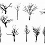 Image result for Tree Silhouette Transparent