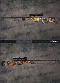 Image result for CS:GO AWP Paw