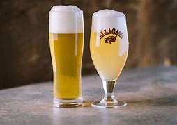 Image result for Ale Lager