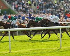 Image result for Newmarket Horse Racing