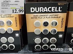 Image result for Costco 2032 Batteries
