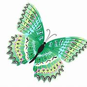 Image result for Transparent Green Butterfly Clip Art