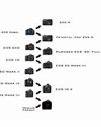Image result for Canon EOS R5 Mirrorless Camera