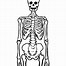 Image result for Skeleton Legs Cut Out