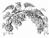 Image result for Wine and Grapes Clip Art Free