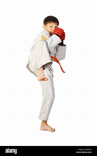 Image result for Boy Aikido