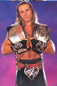 Image result for WWF Champion