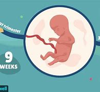 Image result for 9 Week Baby Images