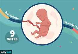 Image result for 9 Weeks Pregnant Symptoms