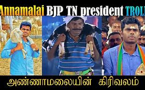 Image result for Annamalai Meme