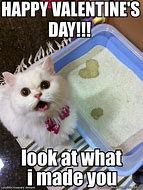 Image result for V-Day Meme Cat