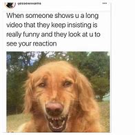 Image result for Happy Dog Meme