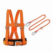 Image result for Safety Harness Kit