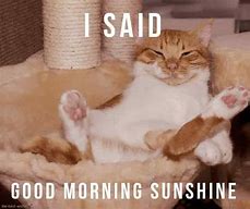 Image result for Morning Sun Meme