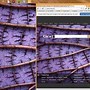 Image result for Microsoft Bing Background
