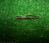 Image result for Vintage Fur Clip Clasp