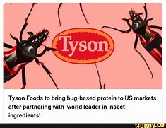 Image result for Tyson Foods New Plants