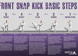 Image result for Snap Kick Martial Arts Logo