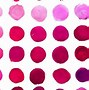 Image result for Fucshia Couleur