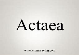 Image result for actacia