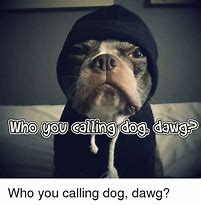 Image result for Dog Calling BS Meme