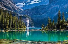 Image result for Bing Water Wallpaper