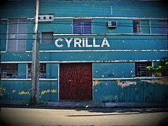 Image result for Cyrilla