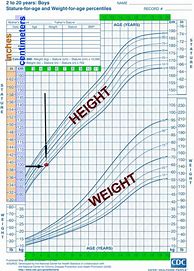 Image result for Growth Chart 1 Year Old Male