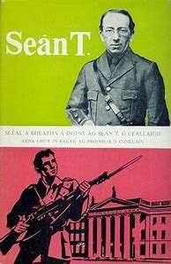 Image result for Sean Kelly Book