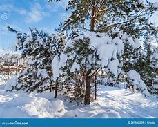 Image result for Surroundings in Winter