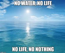 Image result for No Water Meme