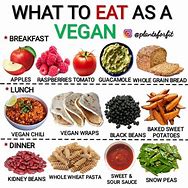 Image result for Vegan Defin