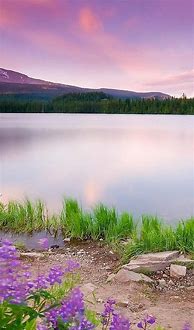 Image result for 6 iPhone Wallpaper Nature Plus