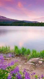 Image result for Nature Wallpaper for iPhone 6 Plus