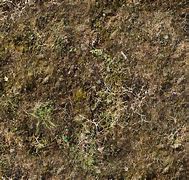 Image result for 3D Dirt Texture