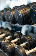 Image result for Wrestling Exercise Equipment